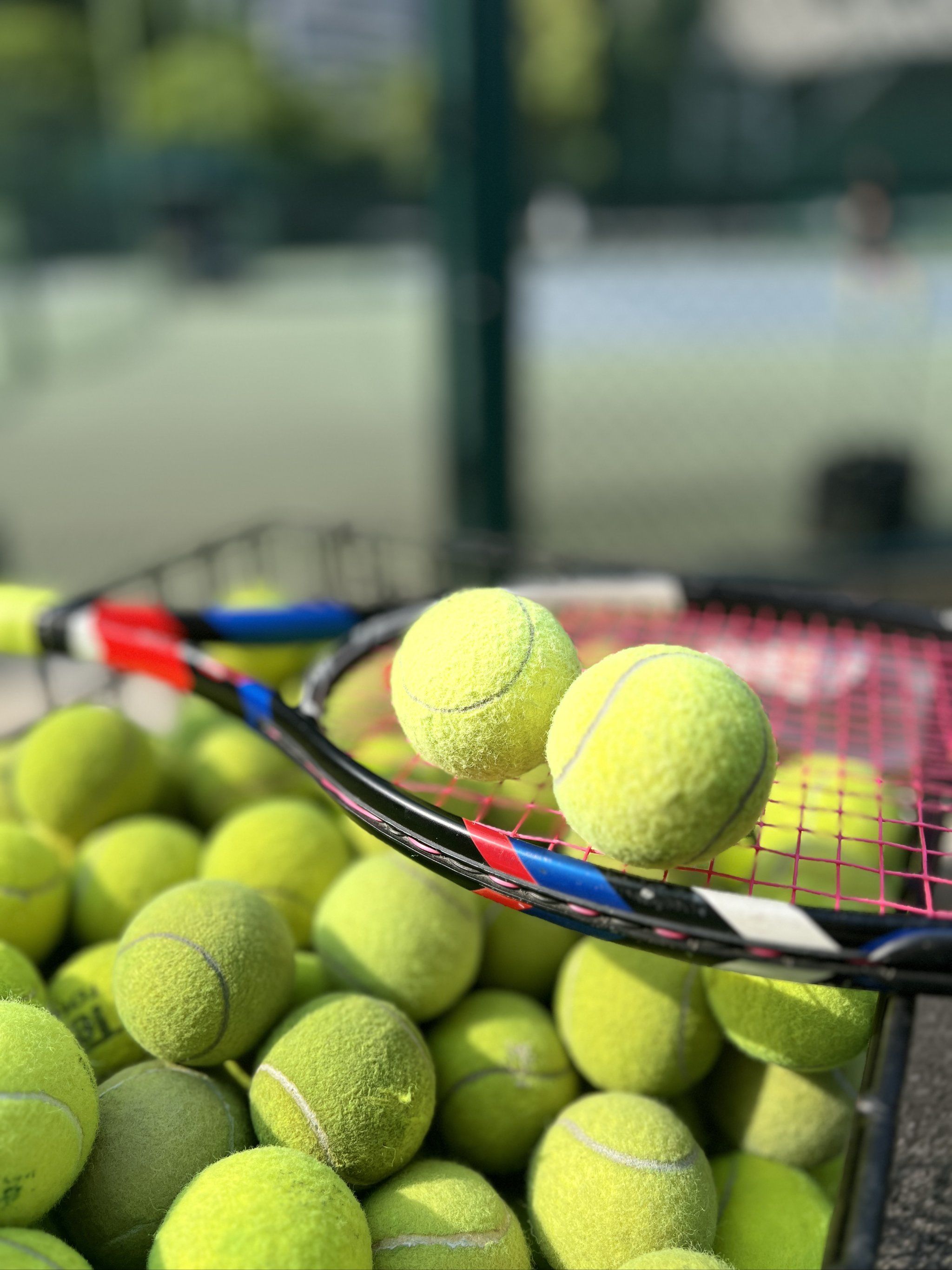 加强篮板球 加强篮板球