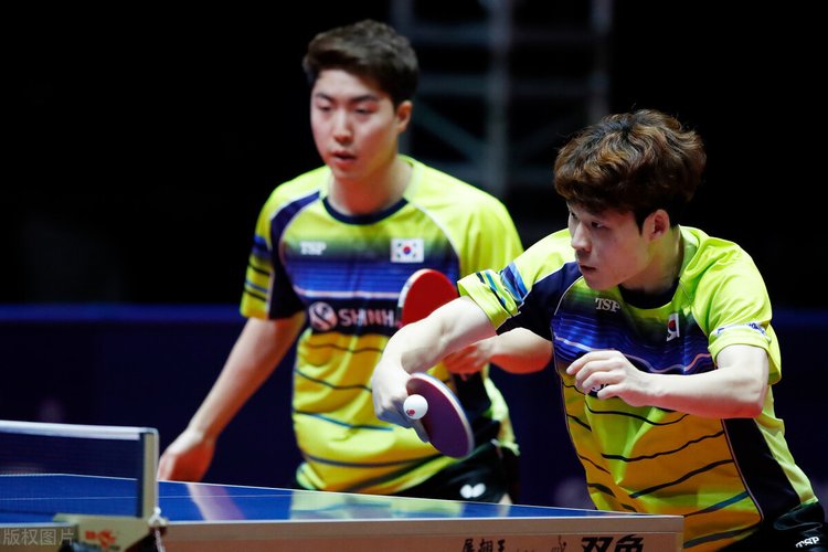 队友和球迷 队友和球迷