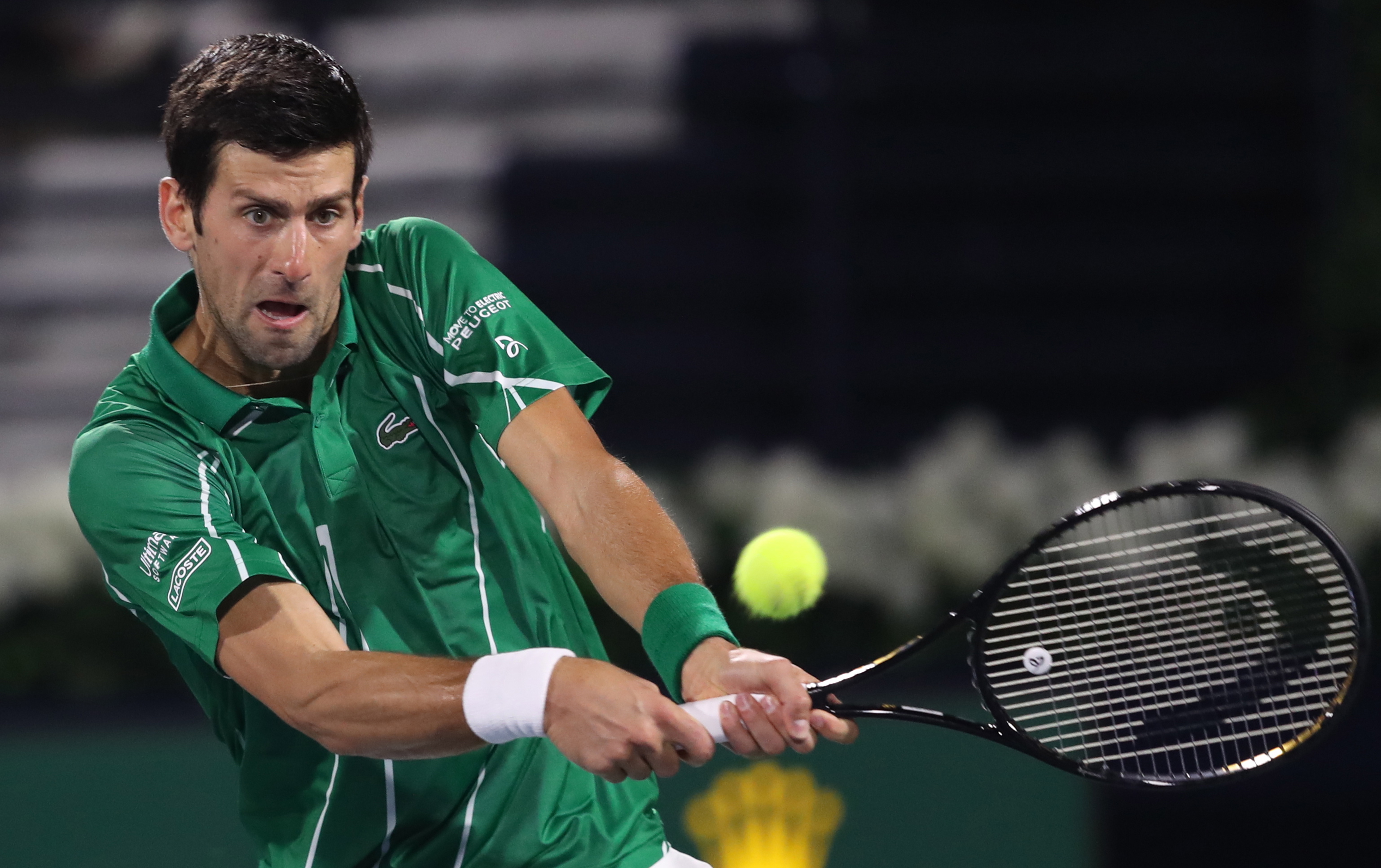 新自己的 新自己的